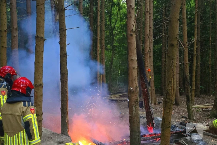 Brandweer ingezet voor bosbrand