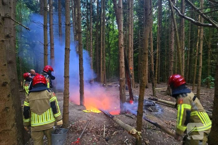 Brandweer ingezet voor bosbrand