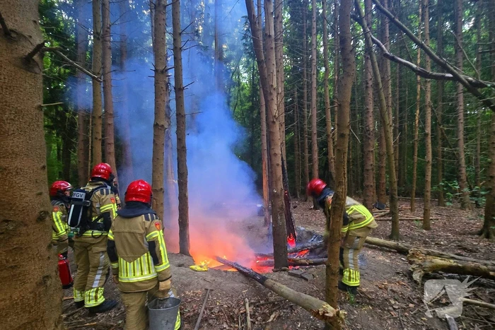 Brandweer ingezet voor bosbrand