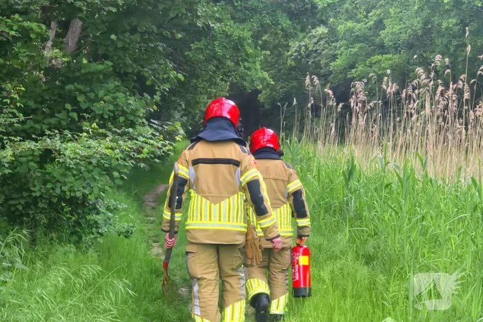 Brandweer ingezet voor bosbrand
