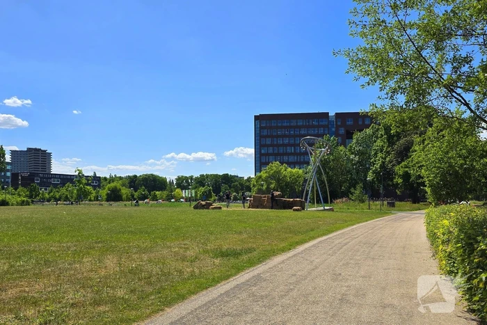 Onrust tijdens pro Palestina demonstratie op universiteitscampus