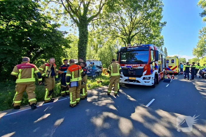 Automobilist van bestelbus klapt op boom, traumateam ingezet