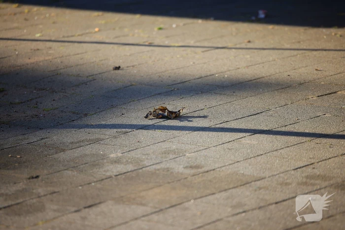 Opnieuw incident bij woning