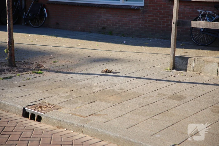 Opnieuw incident bij woning