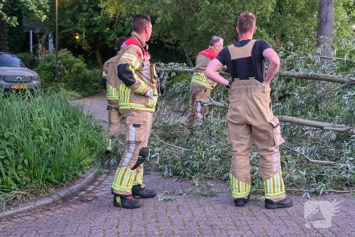 Brandweer ingezet voor boom over de weg