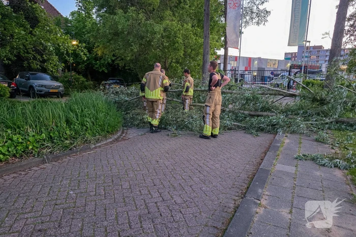 natuur van bergen ijzendoornpark gouda