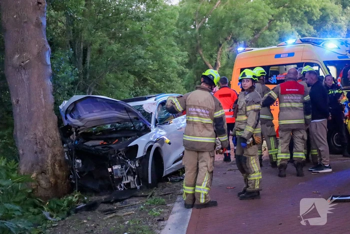 Gewonden nadat auto tegen boom klapt