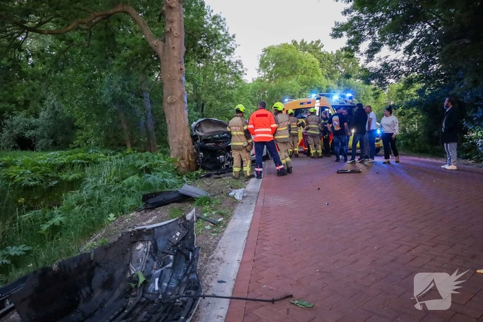Gewonden nadat auto tegen boom klapt