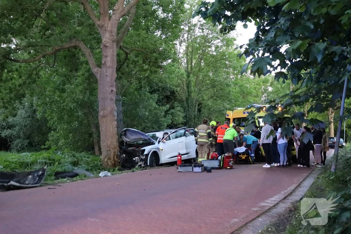 Gewonden nadat auto tegen boom klapt