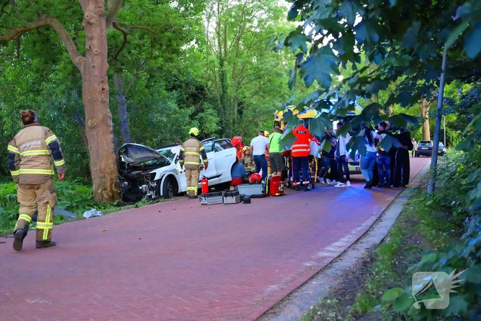 Gewonden nadat auto tegen boom klapt