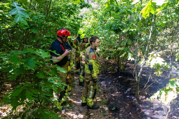 Brand in natuurgebied in de kiem gesmoord