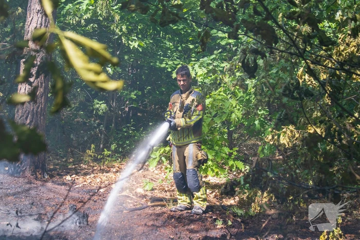 Brand in natuurgebied in de kiem gesmoord