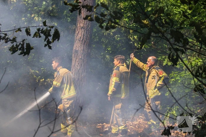 Brand in natuurgebied in de kiem gesmoord