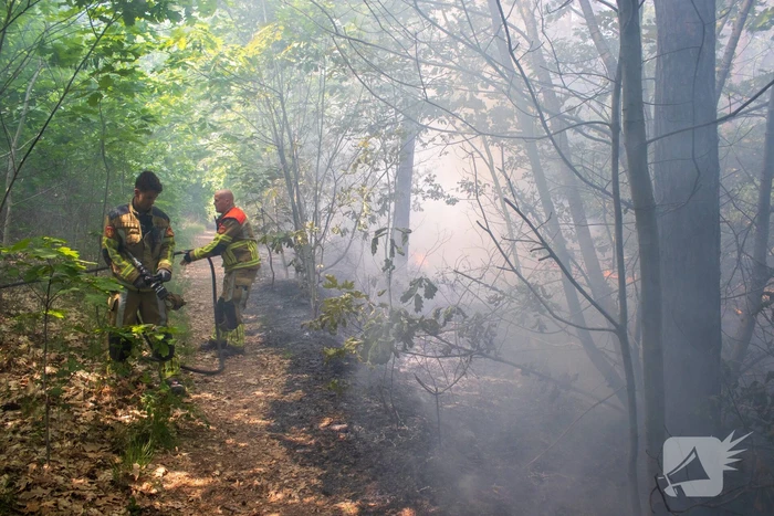Brand in natuurgebied in de kiem gesmoord