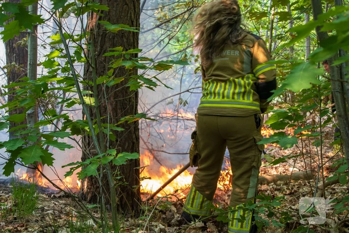 Brand in natuurgebied in de kiem gesmoord