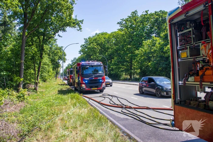 Brand in natuurgebied in de kiem gesmoord