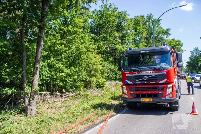 Brand in natuurgebied in de kiem gesmoord