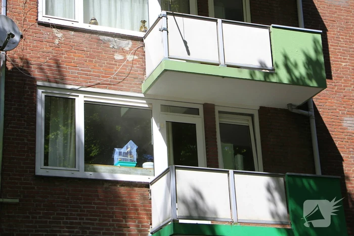Vogels gered door brandweer bij woningbrand