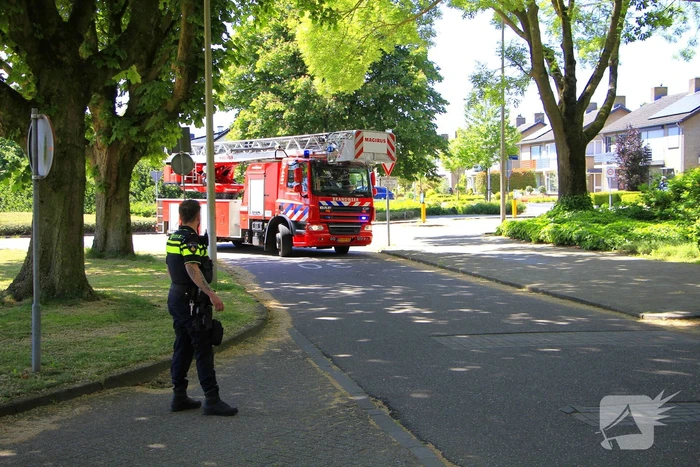 Vogels gered door brandweer bij woningbrand