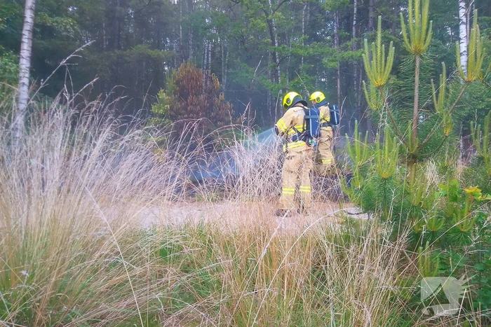 Brand in bosgebied door brandweer geblust