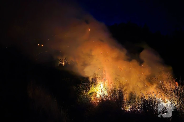 Bermbrand snel geblust door brandweer
