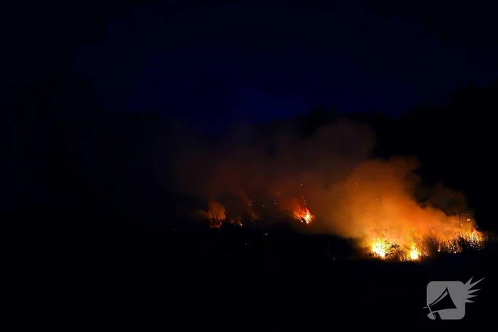 Bermbrand snel geblust door brandweer