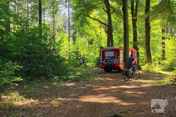 Grote brandweerinzet bij bosbrand