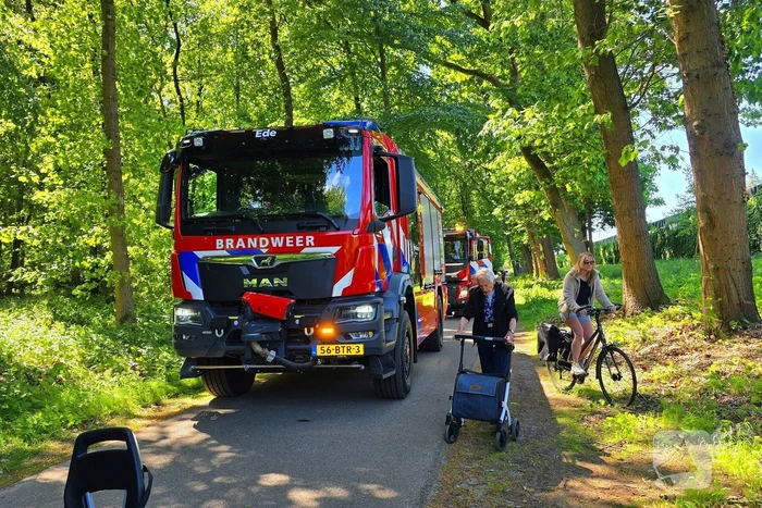 Grote brandweerinzet bij bosbrand