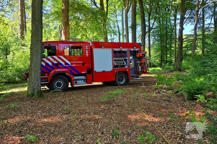 Grote brandweerinzet bij bosbrand