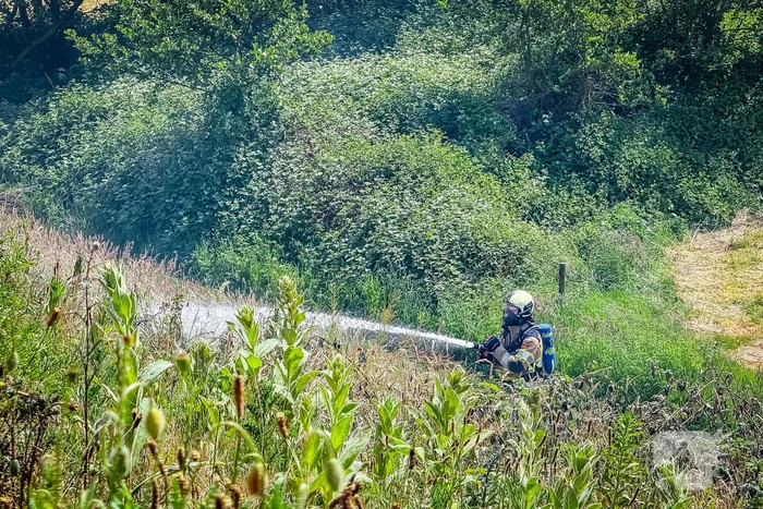 Flinke brand in bosrijke omgeving geblust