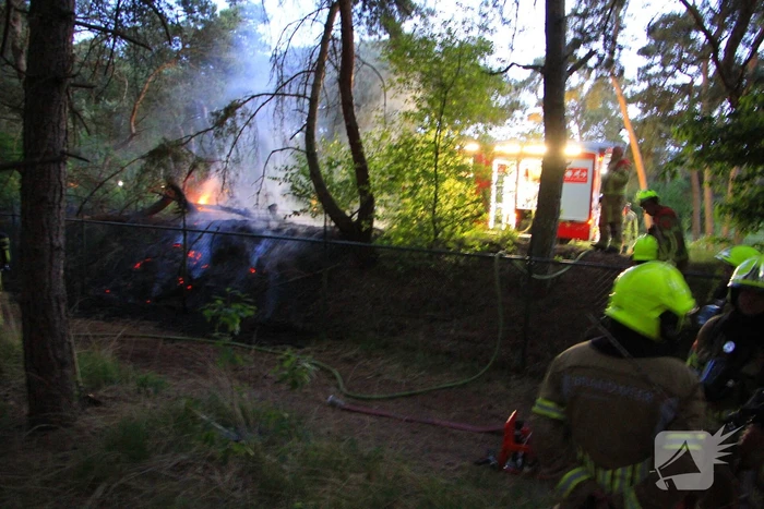 Brand in bos zorgt voor inzet brandweer