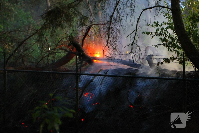 Brand in bos zorgt voor inzet brandweer