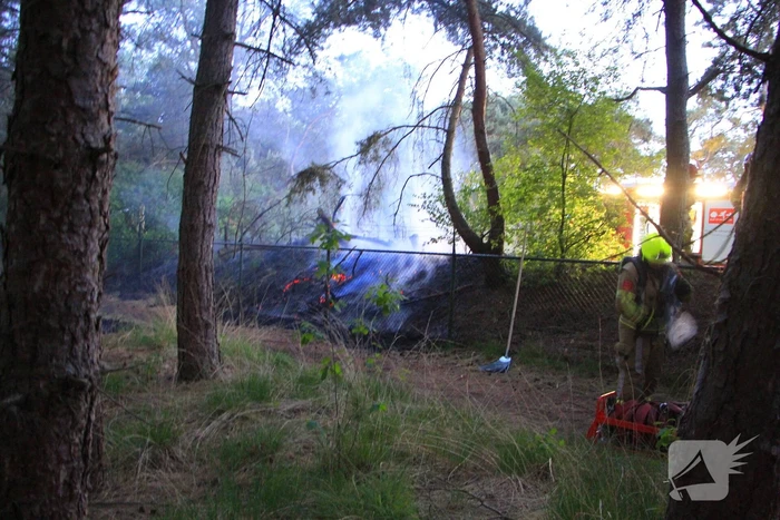 Brand in bos zorgt voor inzet brandweer