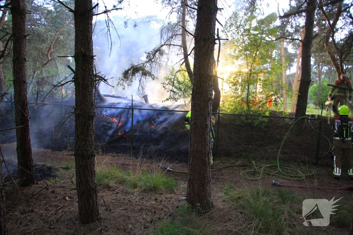 Brand in bos zorgt voor inzet brandweer