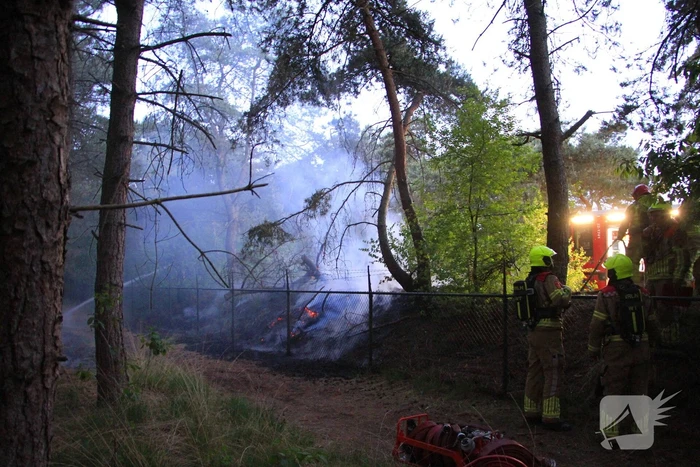 Brand in bos zorgt voor inzet brandweer