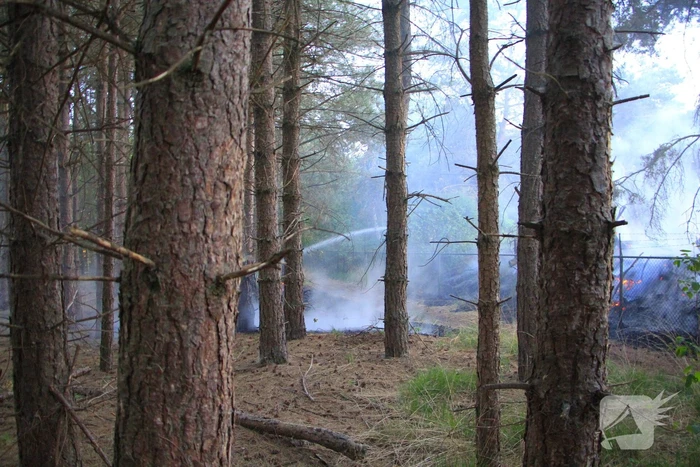 Brand in bos zorgt voor inzet brandweer