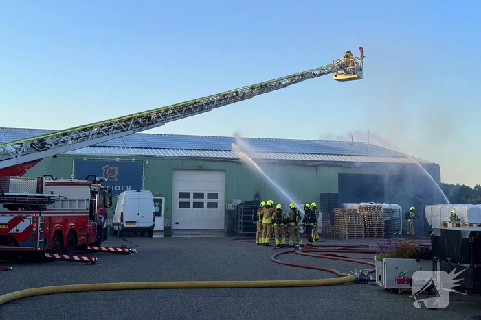 brand insteek boskoop