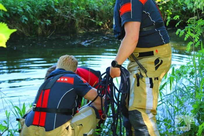 Bok belandt in het water na hondaanval