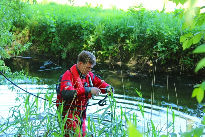Bok belandt in het water na hondaanval