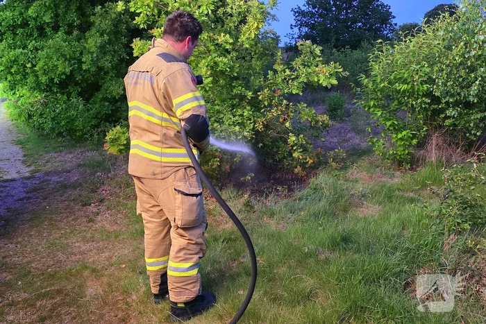 brand driebergweg ede