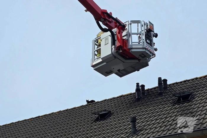 Brandweer redt kat na sprongetje van dak