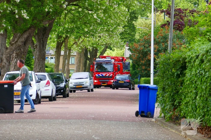 Onveilige situatie door afbrekende tak