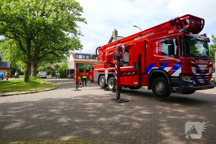 Onveilige situatie door afbrekende tak