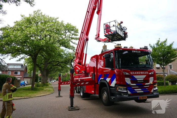 Onveilige situatie door afbrekende tak