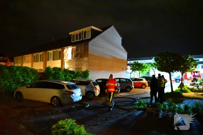 brand zenegroen leeuwarden