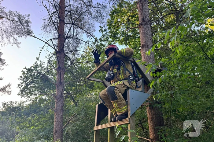 Oplettende voorbijgangers ontdekken bosbrand