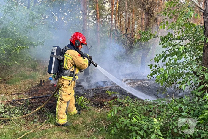 Oplettende voorbijgangers ontdekken bosbrand