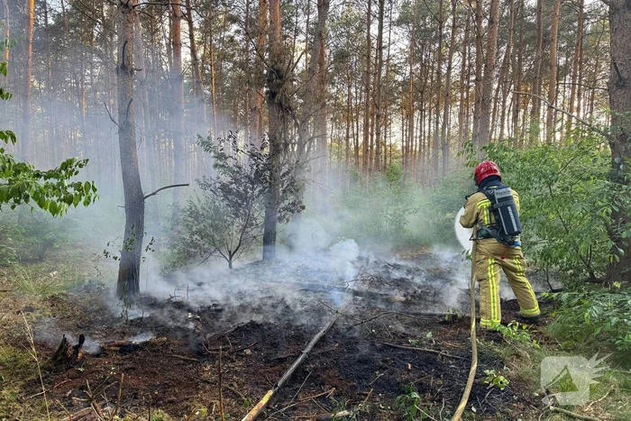 Oplettende voorbijgangers ontdekken bosbrand