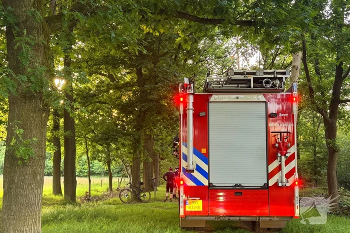 Oplettende voorbijgangers ontdekken bosbrand