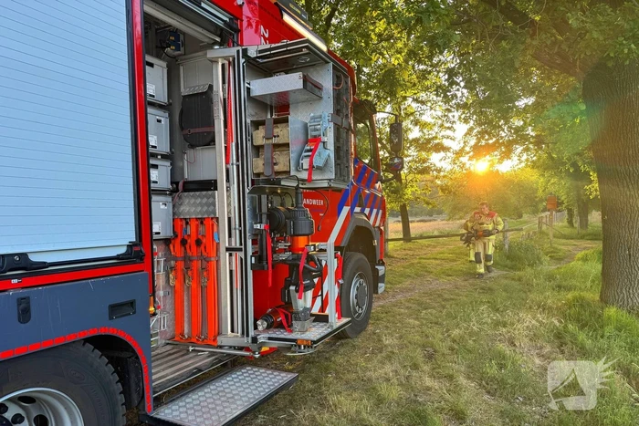 Oplettende voorbijgangers ontdekken bosbrand